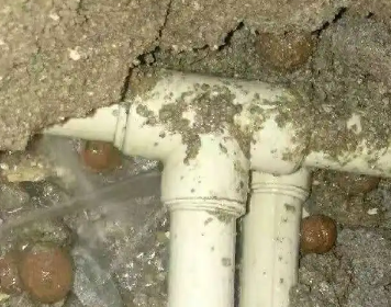 高台测漏水多少钱