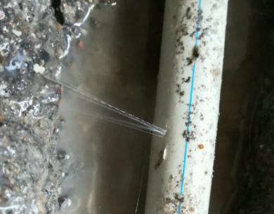 高台测漏水哪家好