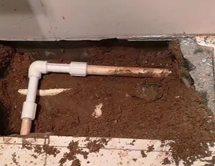 高台测漏水哪家好