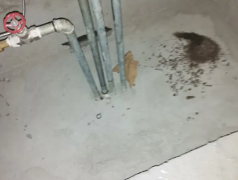 高台卫生间测漏水价格明细