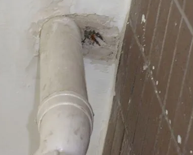 高台漏水检测哪家好